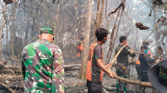 Kebakaran Landa Kawasan PT REKI, 30 Hektare Lahan Konservasi Hangus